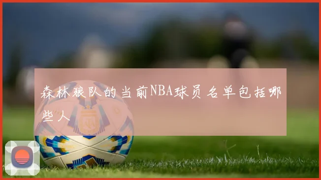 森林狼队的当前NBA球员名单包括哪些人