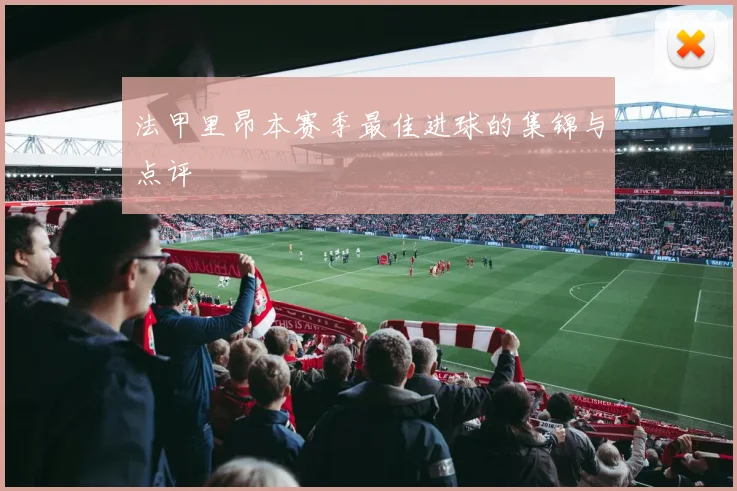 法甲里昂本赛季最佳进球的集锦与点评