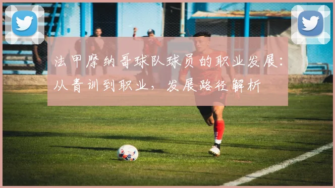 法甲摩纳哥球队球员的职业发展：从青训到职业，发展路径解析