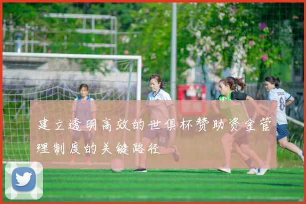建立透明高效的世俱杯赞助资金管理制度的关键路径