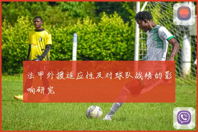 法甲外援适应性及对球队战绩的影响研究