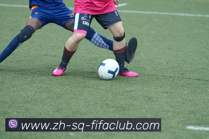 世界杯买球服务体系