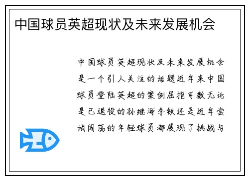 中国球员英超现状及未来发展机会